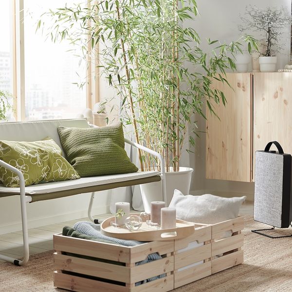 Чехол на подушку, для/дома/улицы, бежево-зеленый 50x50 см IKEA SÖTHOLMEN СЁТХОЛЬМЕН 804.794.79 - схема-чертеж с размерами