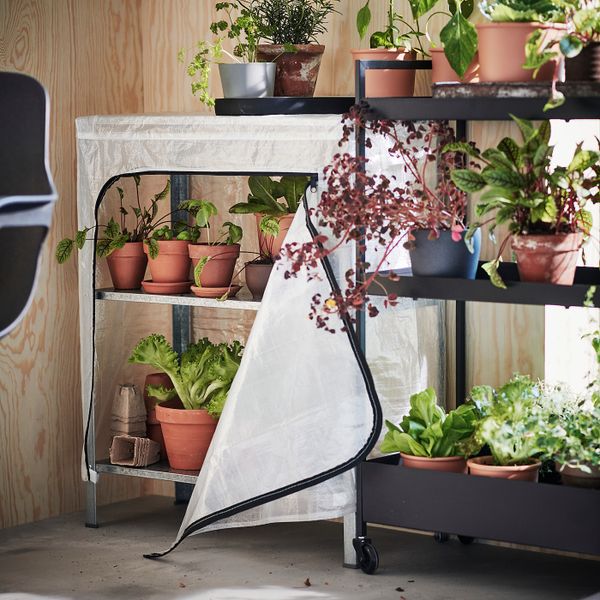 Чехол, прозрачный/для дома, улицы 60x27x74 см IKEA HYLLIS ХИЛЛИС 704.283.34 - фото 5