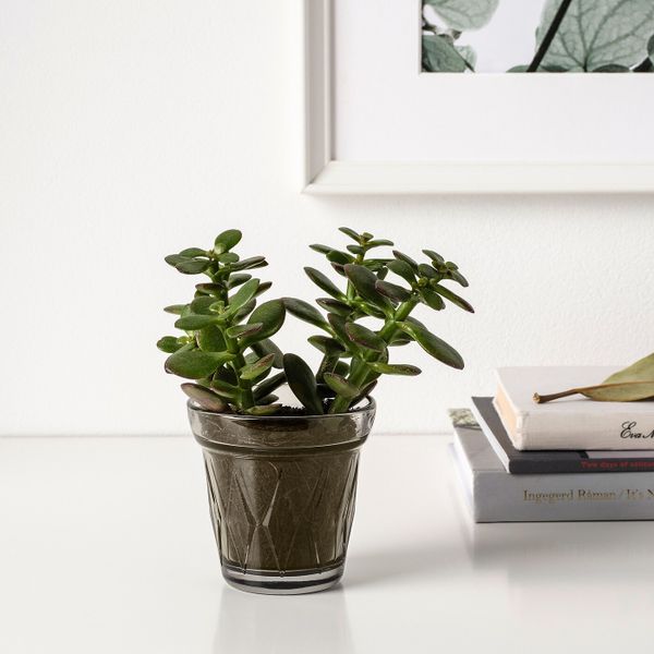 Ароматическая свеча в стакане, Соленая карамель/серый 8 см IKEA VÄLDOFT ВЭЛЬДОФТ 504.423.12 - фото 4