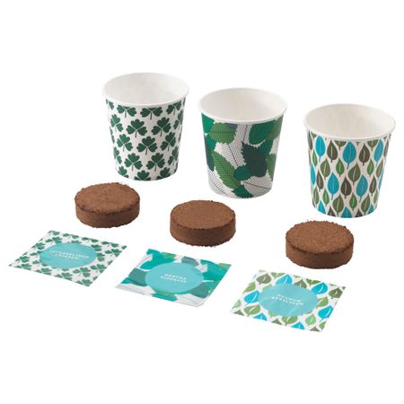 Набор для выращивания рассады ФРОЭР, травы кориандр петрушка, базилик мята перечная