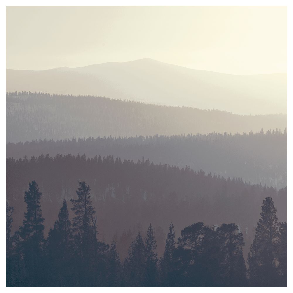 Картина СНОСТОРП, Лесной горизонт (2.5x2.5 м) - фото 1