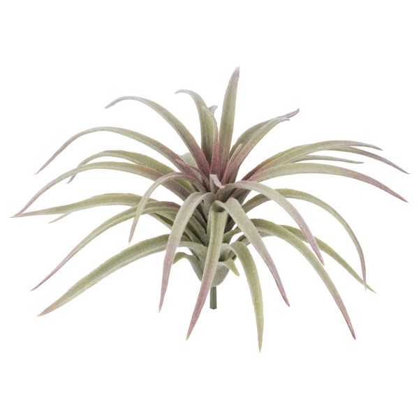 Искусственный аэрофит СМИККА, Тилландсия, зеленый (10 см) - фото 1