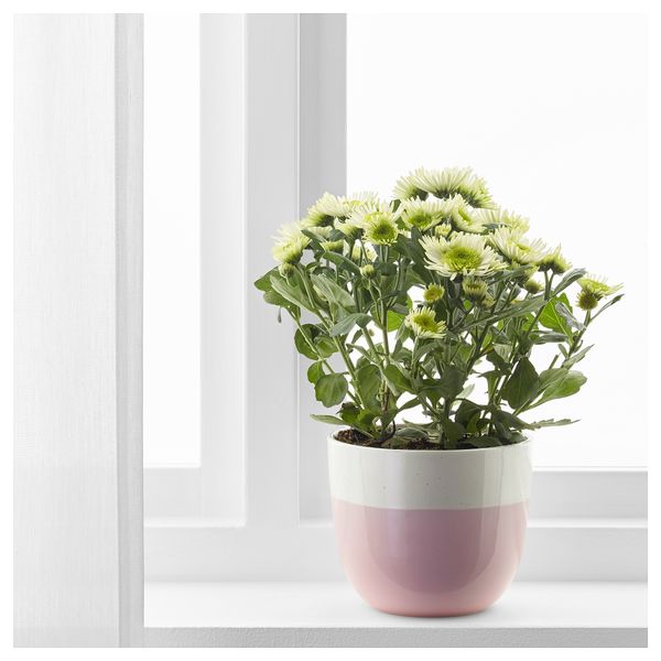 Кашпо СОММАР 2018, д/дома/улицы розовый розовый (12 см) - фото 2