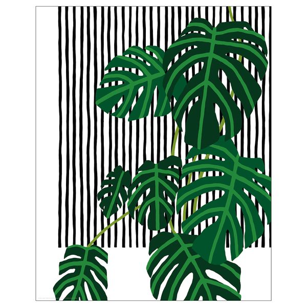 Постер, Листва, 40x50 см IKEA DRÖMBILD ДРЁМБИЛЬД 604.420.76 - фото 1