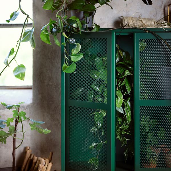 Шкаф с дверями, зеленый сетка 160x30x83 см IKEA IVAR ИВАР 594.174.69 - схема-чертеж с размерами