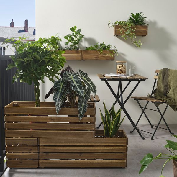 Ящик для цветов, для сада акация, 75x27 см IKEA STJÄRNANIS СТЭРНАНИС 105.847.75 - фото 2