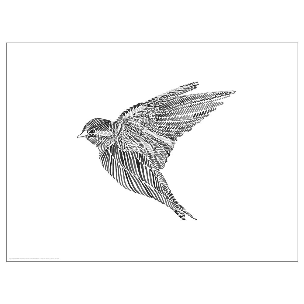 Постер, Черная птичка, 40x30 см IKEA DRÖMBILD ДРЁМБИЛЬД 604.360.99 - фото 1