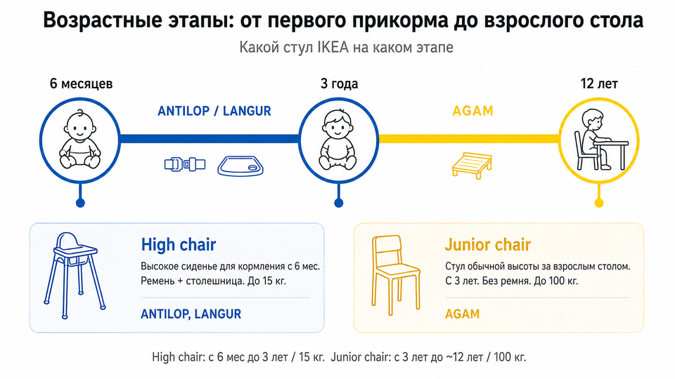 Инфографика: возрасты ANTILOP (6 мес), LANGUR (6 мес−7 лет), AGAM (3−12 лет)