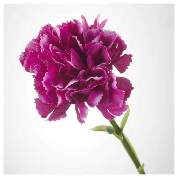 Цветок искусственный СМИККА, гвоздика, темно-сиреневый (30 см) - схема-чертеж с размерами