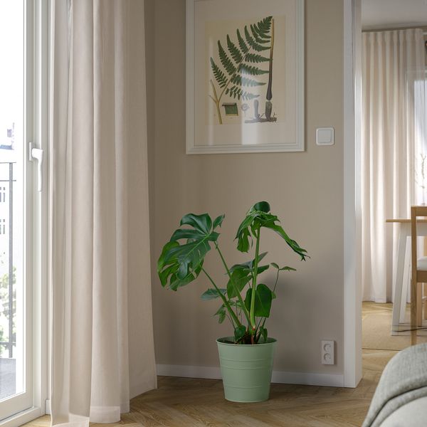 Кашпо, 24 см, для дома, улицы светло-зеленый IKEA SOCKERKAKA СОККЕРТАКА 205.357.08 - фото 3