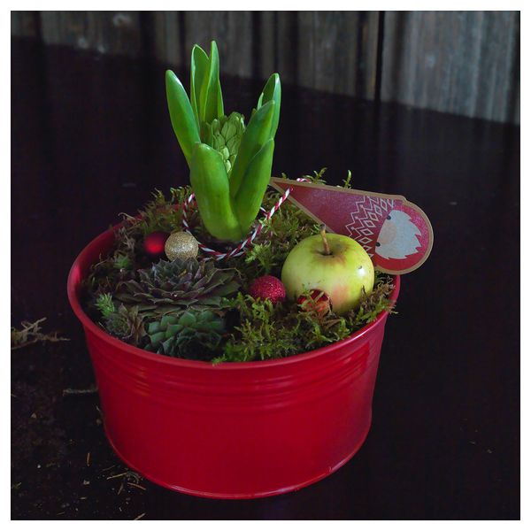 Кашпо СОККЕР, д/дома/улицы, красный - схема-чертеж с размерами