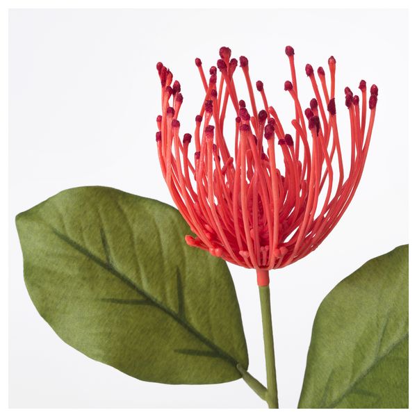 Цветок искусственный СМИККА, протея, красный (30 см) - схема-чертеж с размерами