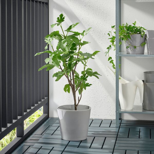 Кашпо, для дома, улицы серый, 19 см IKEA SKOGSVINBÄR СКОГСВИНБЭР 705.108.33 - фото 4