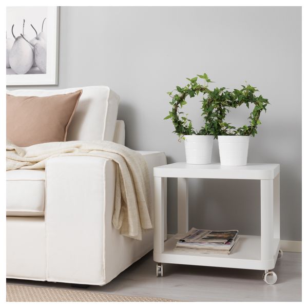 Растение в горшке HEDERA HELIX, Плющ различные растения (13 см) - фото 2