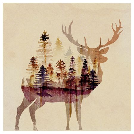 Картина, Лань, 60x60 см IKEA PJÄTTERYD ПЬЕТТЕРИД 406.187.74