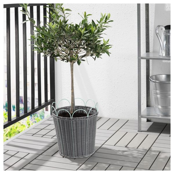 Кашпо СОЛРОСФРО, д/дома/улицы серый, зеленый - фото 4