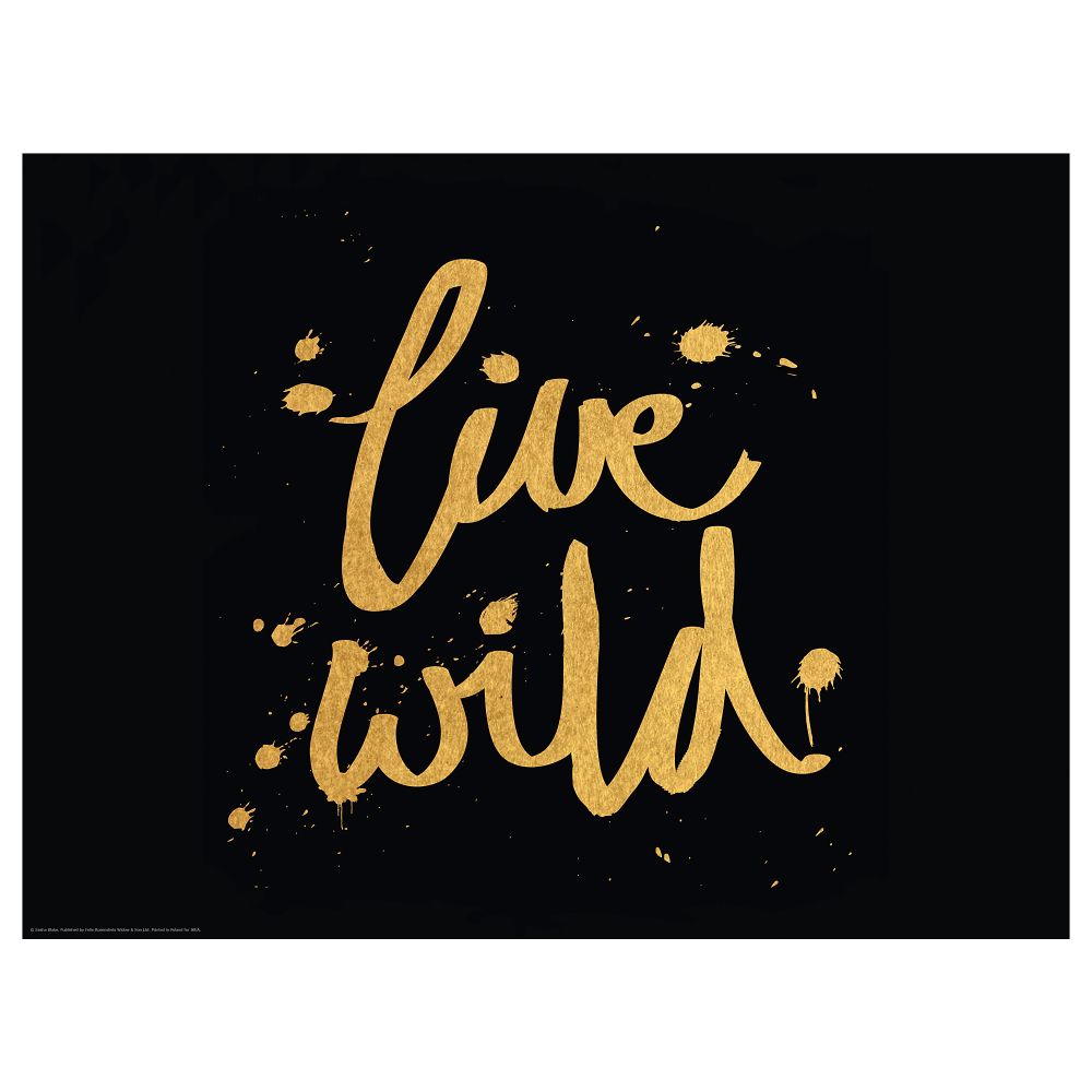 Постер, Live Wild, 40x30 см IKEA DRÖMBILD ДРЁМБИЛЬД 204.418.61 - фото 1