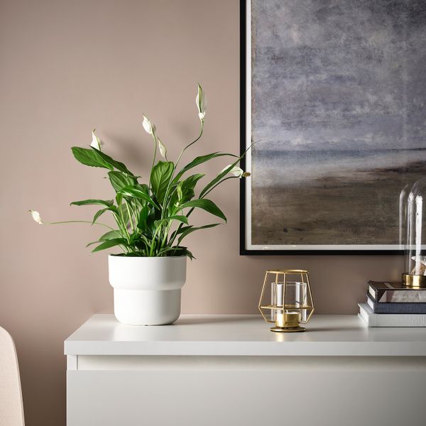 Подсвечник для греющей свечи 10 см IKEA PÄRLBAND ПЭРЛЬБАНД 903.500.94 - схема-чертеж с размерами