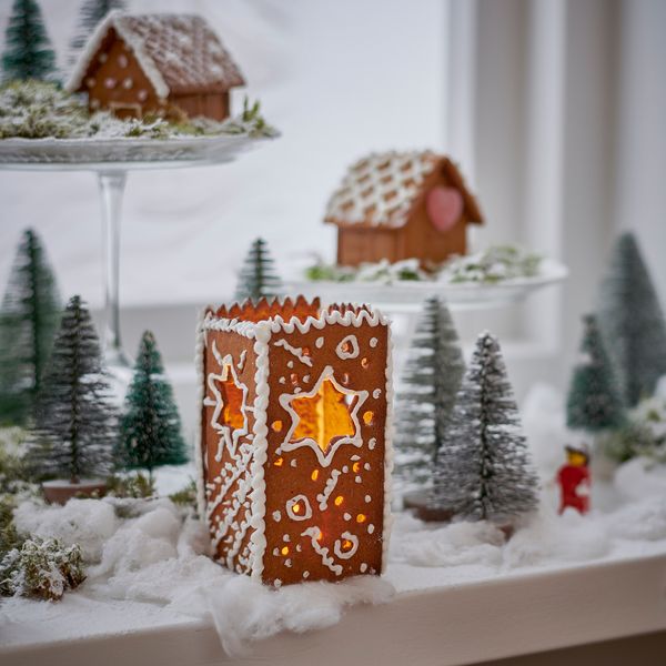 Тесто имбирное замороженное, 500 гр IKEA VINTERSAGA 304.793.11 - фото 9