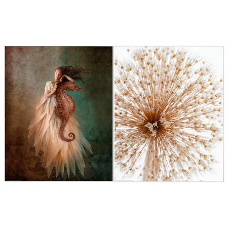 Постер, Женщина и морской конек 40x50 см IKEA BILD БИЛЬД 304.860.57