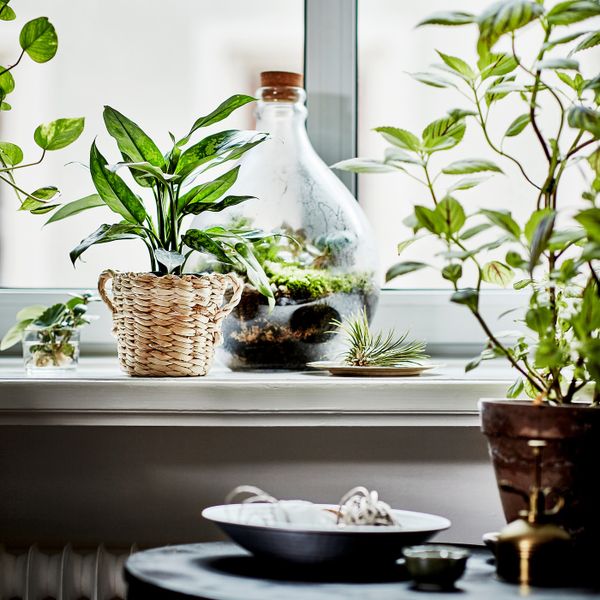 IKEA, дополнительный ракурс