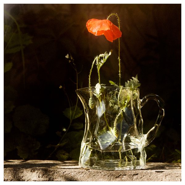 Кувшин, 1.5 л, прозрачное стекло IKEA BASTUA 605.426.22 - фото 6