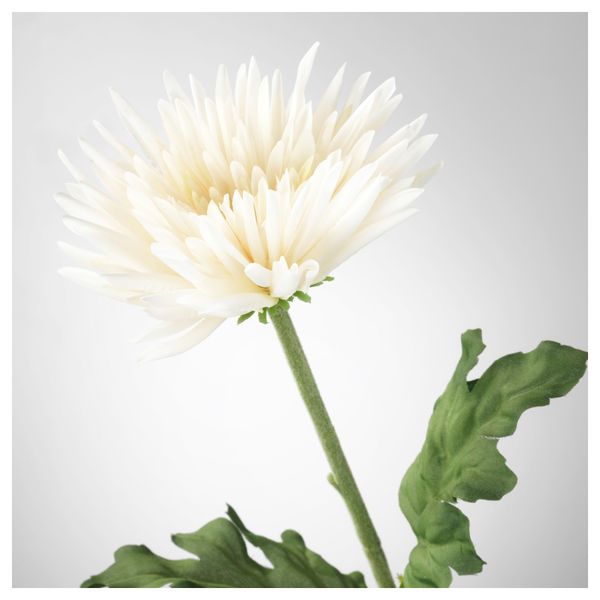 Цветок искусственный СМИККА, Хризантема, белый (55 см) - схема-чертеж с размерами