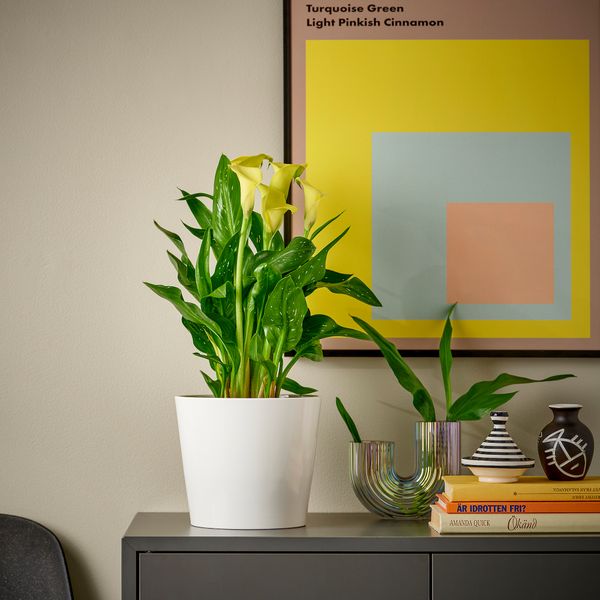 IKEA, дополнительный ракурс