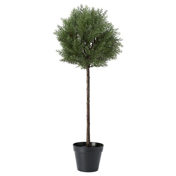 Искусственное растение в горшке ФЕЙКА, д/дома/улицы кедр, кедр стебель стебель (17 см) - фото 1