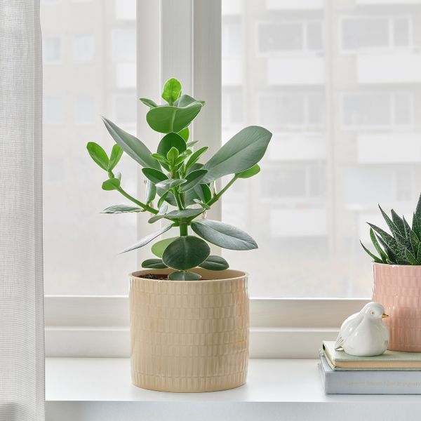 IKEA, дополнительный ракурс - схема-чертеж с размерами