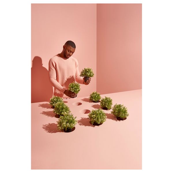 IKEA, дополнительный ракурс