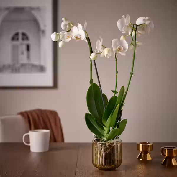 GRADVIS Кашпо - д/дома/улицы/светло-коричневый 9 см - фото 3