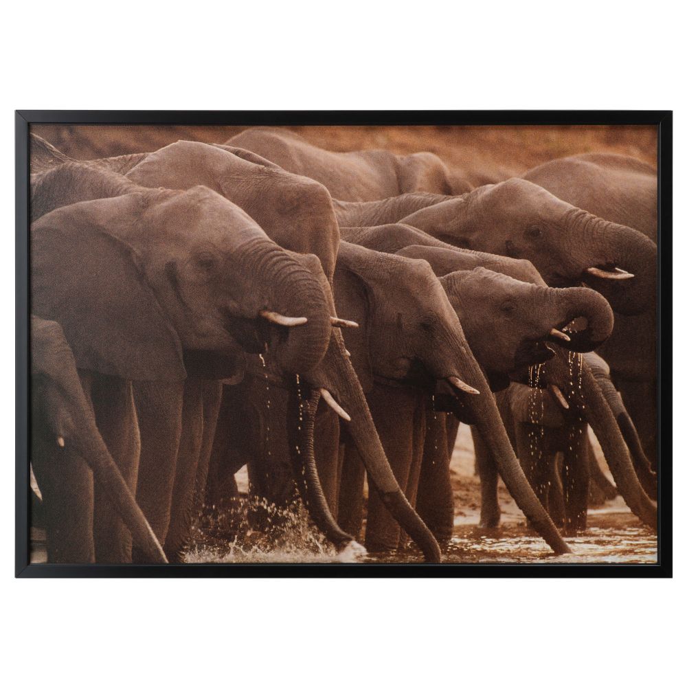 IKEA, вид спереди