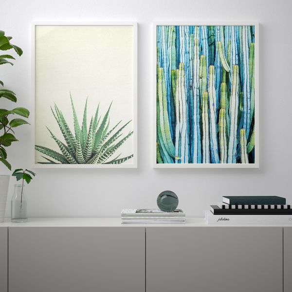 Постер, Колючие растения, 50x70 см IKEA DRÖMBILD ДРЁМБИЛЬД 504.418.26 - схема-чертеж с размерами