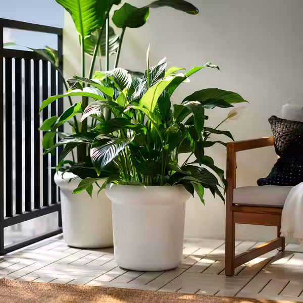 MÅBÄRSBUSKE МОБЕРСБЮСКЕ Горшок цветочный - фото 2