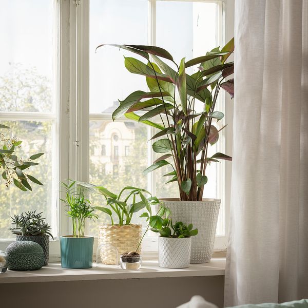 Кашпо, белый, 9 см IKEA CHIAFRÖN ЧИАФРЁН 004.419.04 - фото 3