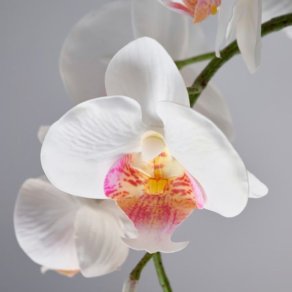 IKEA, дополнительный ракурс - схема-чертеж с размерами