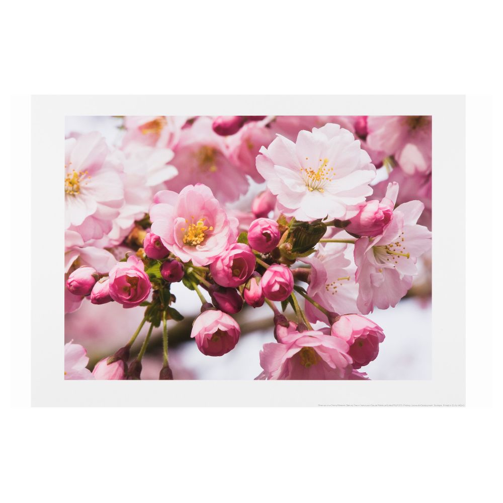 IKEA, вид спереди - схема-чертеж с размерами