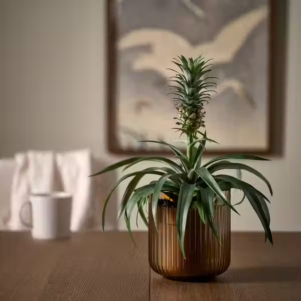 GRADVIS Кашпо - д/дома/улицы/светло-коричневый 12 см - фото 3