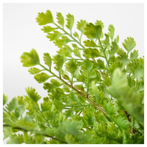 Искусственное растение в горшке ФЕЙКА, д/дома/улицы, Папоротник (12 см) - фото 2