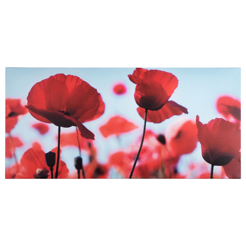 Картина, Маковое поле II, 120x56 см IKEA ПЬЕТТЕРИД 903.645.19 - фото 1