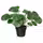 FEJKA Искусственное растение в горшке - д/дома/улицы Пилея 9 см