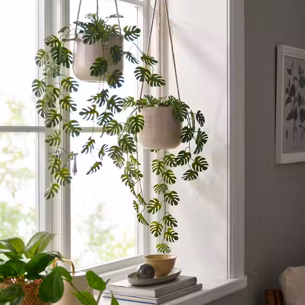 FEJKA Искусственное растение в горшке - д/дома/улицы подвесной/монстера 9 см - фото 2