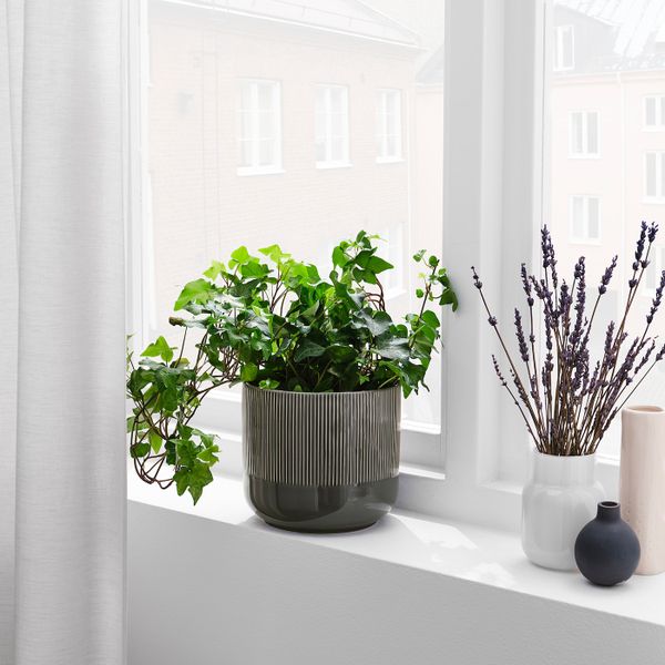 Кашпо, для дома, улицы темно-серый 15 см IKEA GRADVIS ГРАДВИС 204.968.58 - фото 2
