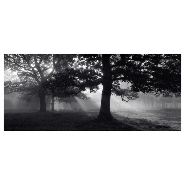 IKEA, вид спереди - схема-чертеж с размерами