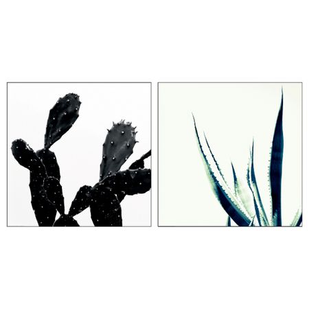 Набор постеров, 2 штуки ТВИЛЛИНГ, Кактус (50x50 см)