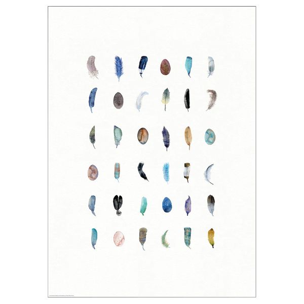 Постер, Разноцветные перышки 50x70 см IKEA BILD БИЛЬД 304.914.50 - фото 1