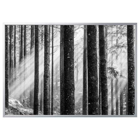 Картина с рамой, Солнечные лучи/цвет алюминия 200x140 см IKEA БЬЁРКСТА 492.978.82