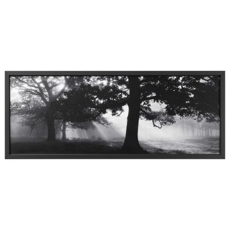 Картина с рамой БЬЁРКСТА, Лесная поляна II, черный (140x56 см)