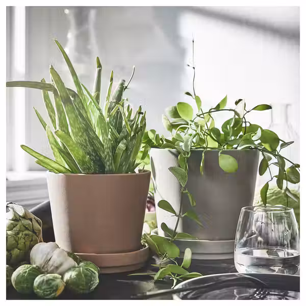 KLARBÄR КЛАРБЭР Горшок цветочный с поддоном - д/дома/улицы коричневый 12 см - фото 2